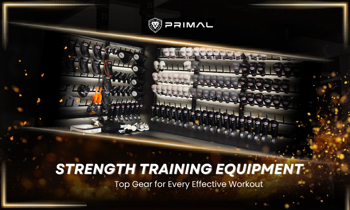 Best Equipment for Strength Training